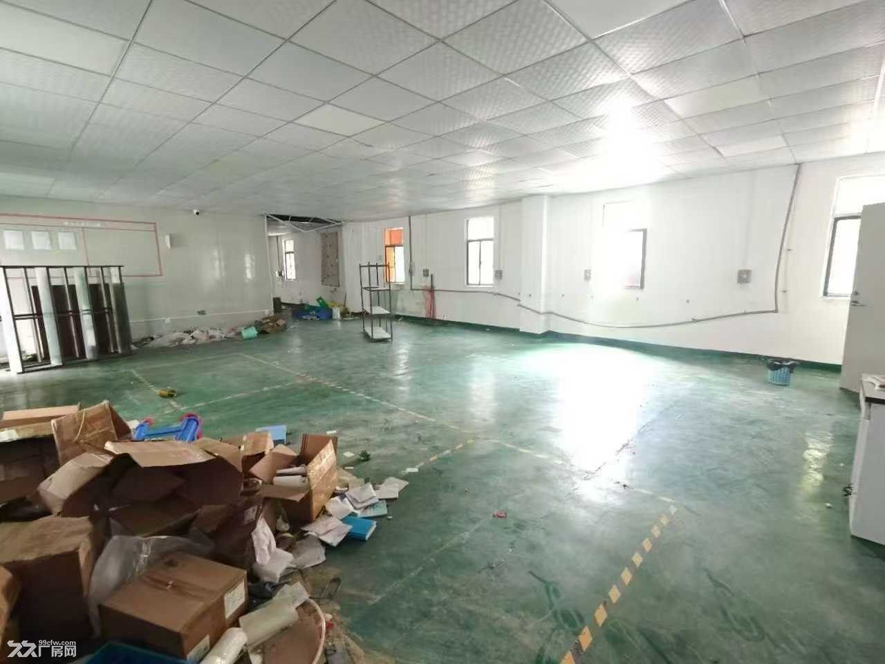 深圳福永独门独院厂房8100平米出租 空地超大 - 5