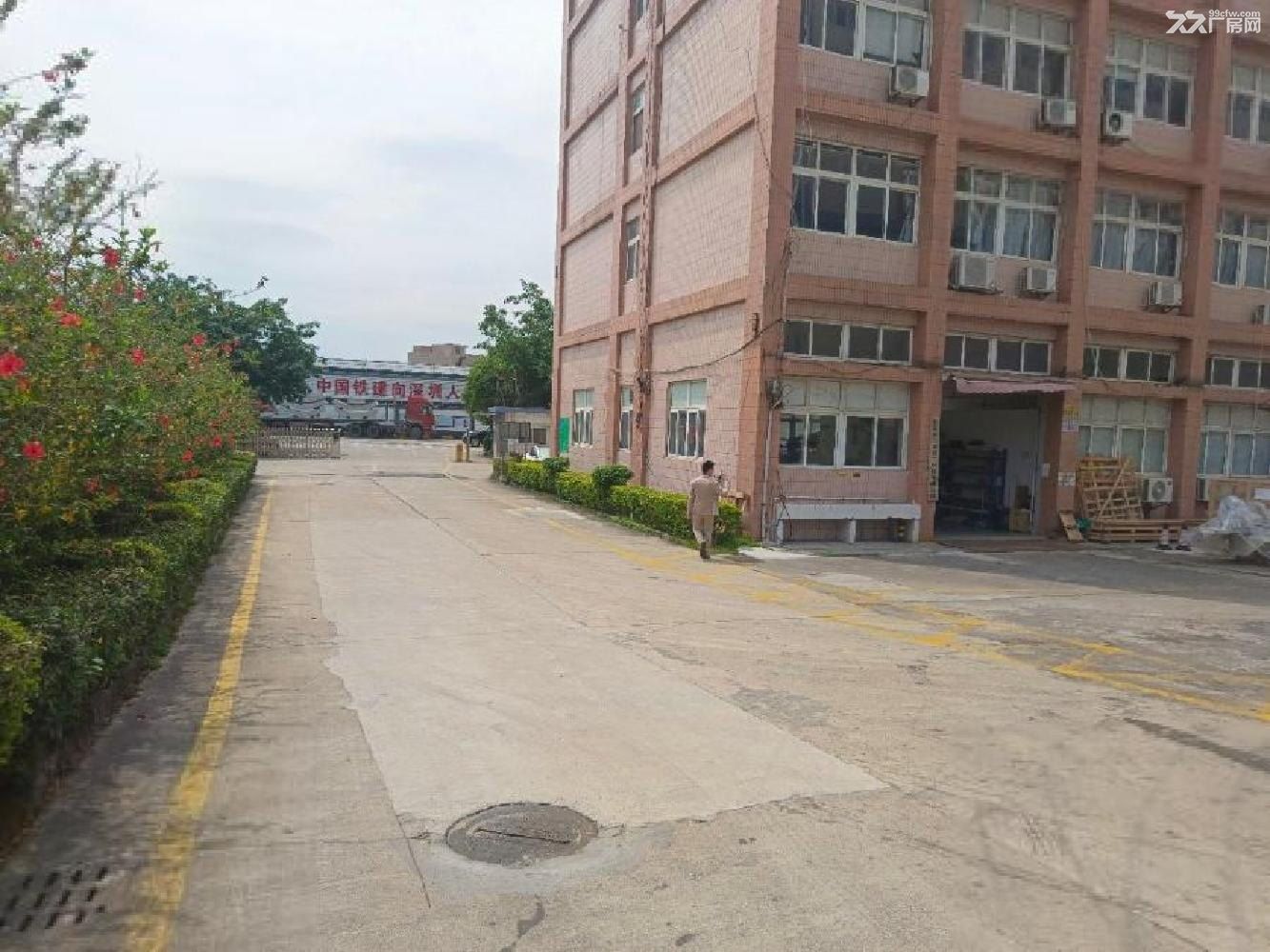 深圳布吉厂房出租可分租,交通方便环境好租金12元w - 4
