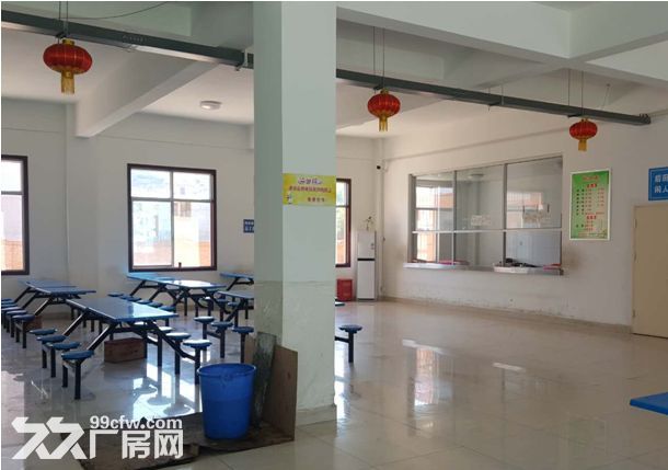 钢结构,框架厂房可租可售 - 6