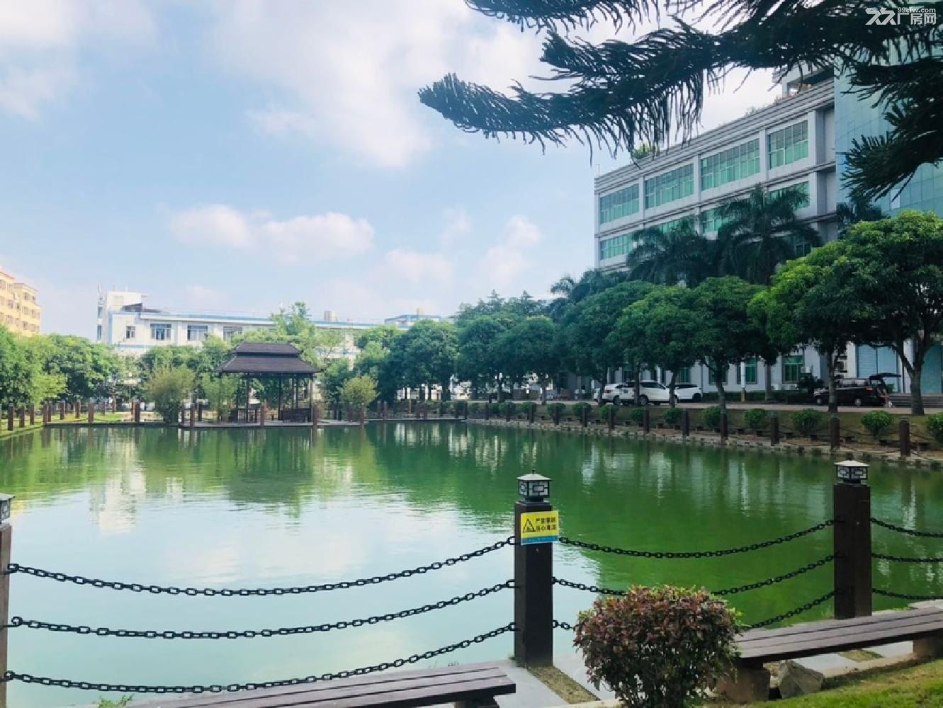 深圳横岗花园式独院厂房28566平,可分租 - 7
