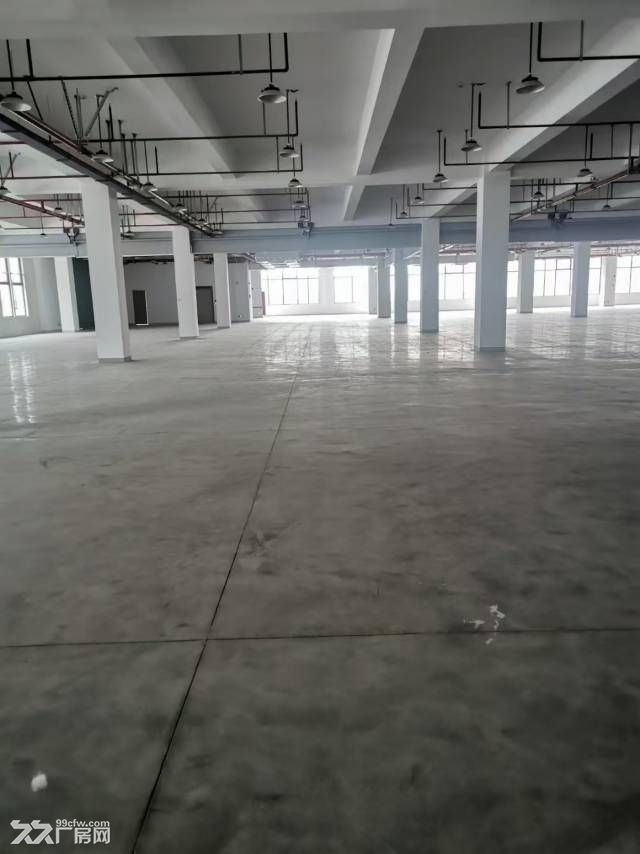 临港新片区未来空间智造谷园区厂房 - 2