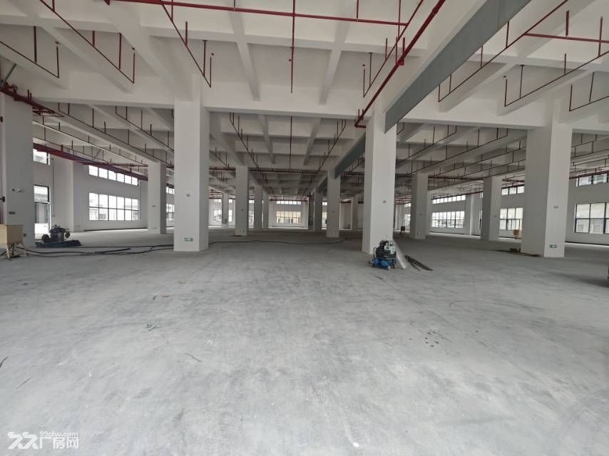 寮步镇东部快线附近全新标准独栋厂房20000平出租 - 3