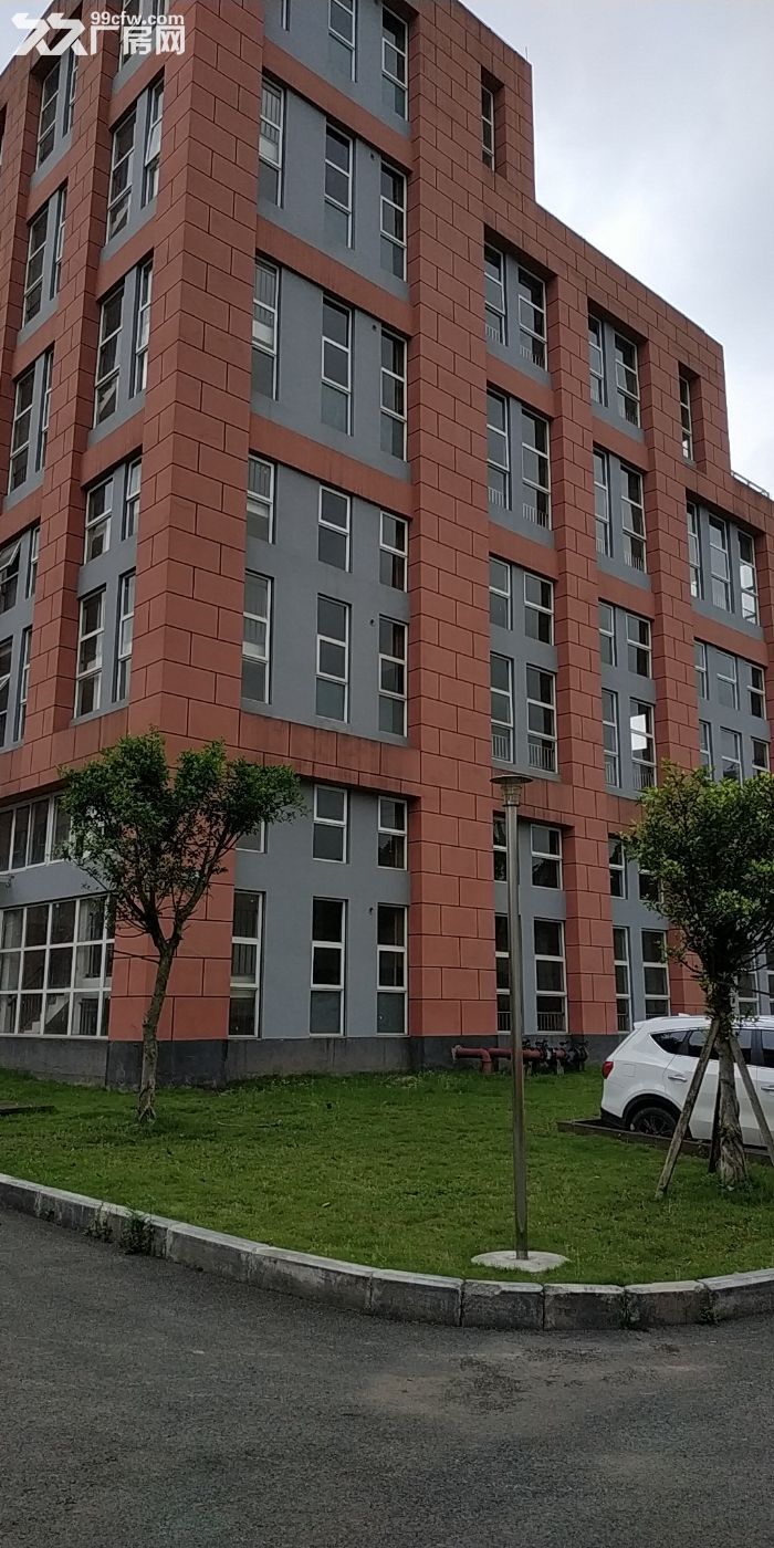 售西彭独栋标准厂房现房 高速出口旁轻轨边层高12米大跨度无行 - 2