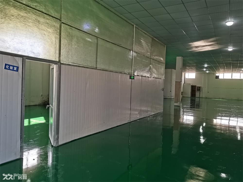 房东直租胶州胶北工业园厂房仓库(证照齐全、可环评、污水管网) - 4