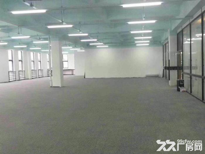 可做加工104地块适合生产仓储电商淘宝研发面积200平起分 - 4