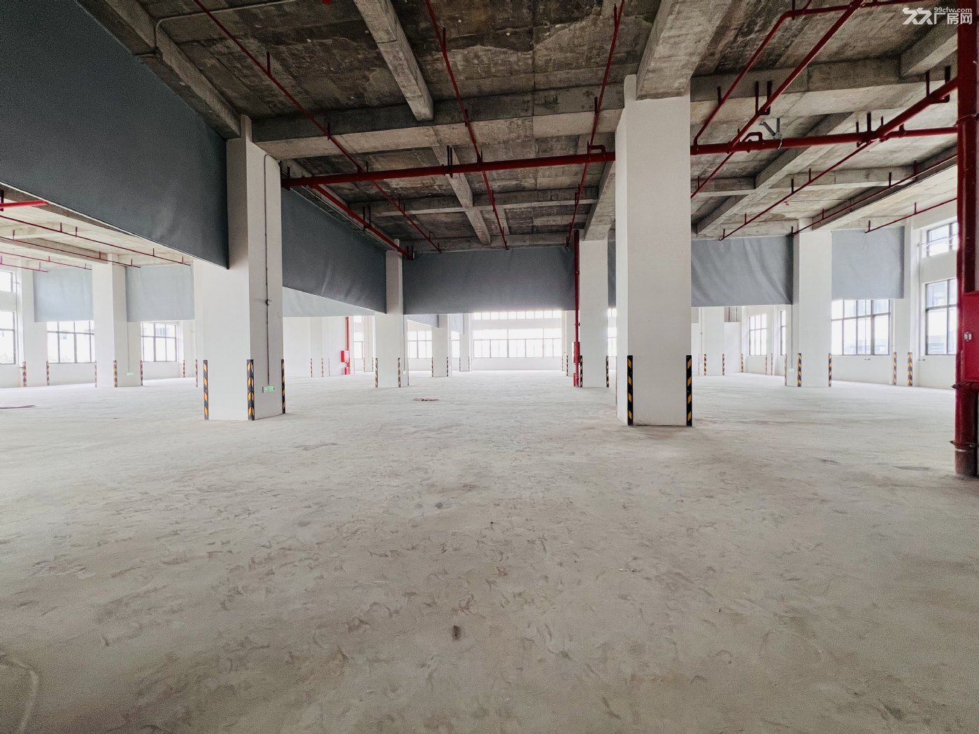 大良伦桂路旁新建厂房整栋出售(业主) - 4