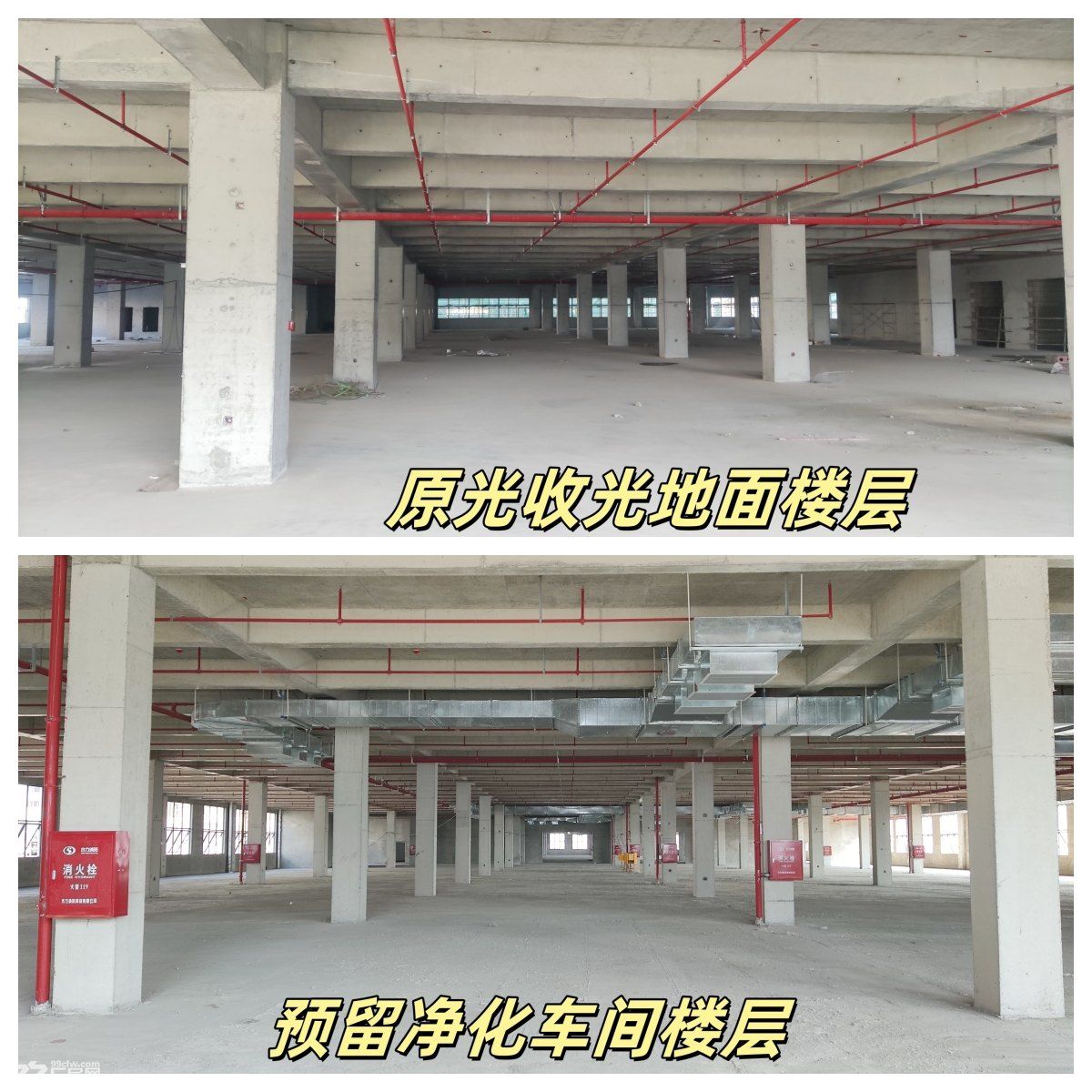 全新国有二类高标准高形象园区出租 - 6