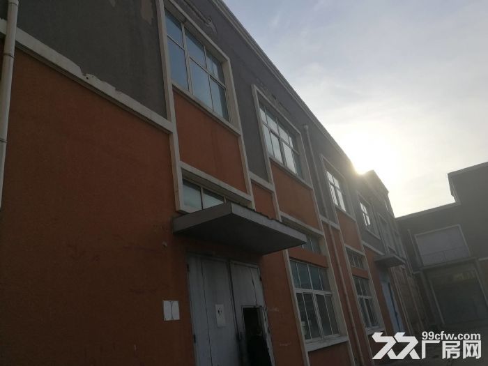 一层无地下 有物流门 可立项环评 仓储 轻加工 组装 - 8