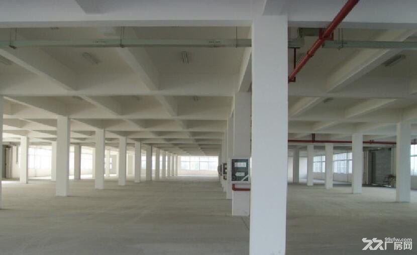 南京江宁滨江开发区2000平米厂房招租