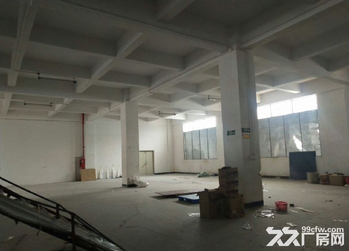 龙岗北通道500平米带装修办公厂房仓库出租 - 2