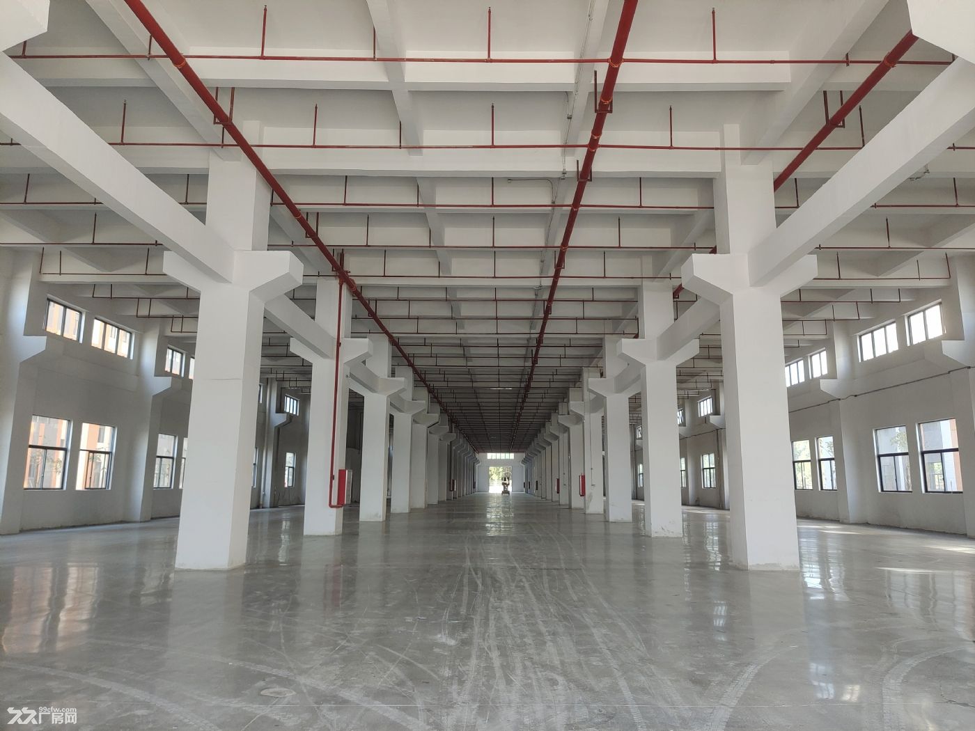 三水带红工重工业厂房出租 - 3