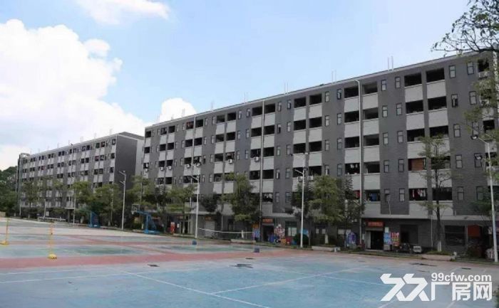 台山可做家具,破碎,喷漆,喷油,抽粒,树脂污染行业厂房出租 - 7
