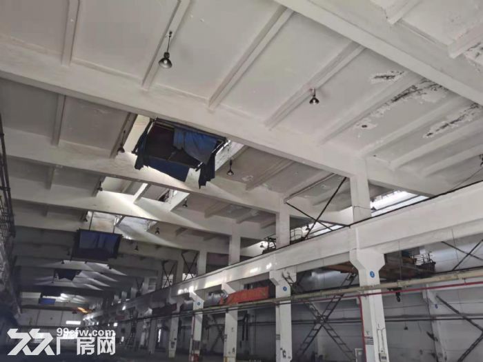 AA娄葑30000平单层多层标准厂房 可分租 汽修 球馆 - 2