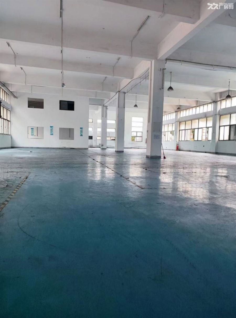 南汇工业园区花园式厂房 单层1100平 104板块可办环评 - 6