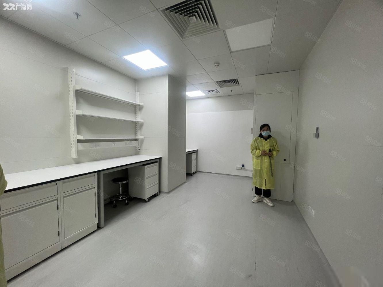精装P1P2细胞房 ,PCR实验分子间 包环评有补贴带办公室 - 6