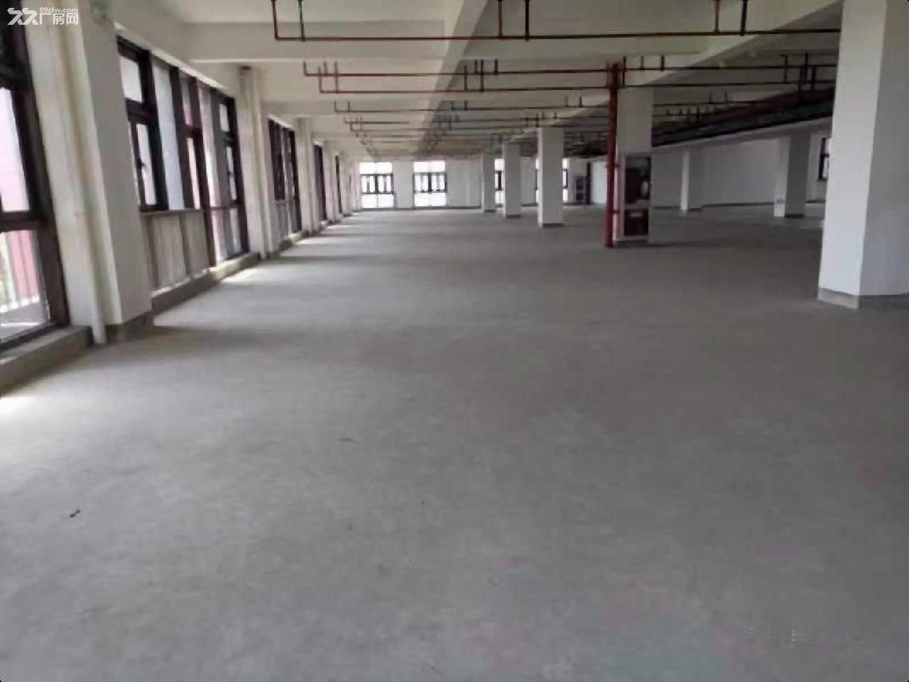 全新独栋地铁口办公楼带产业补贴可注册办公培训 展厅研发中心 - 2