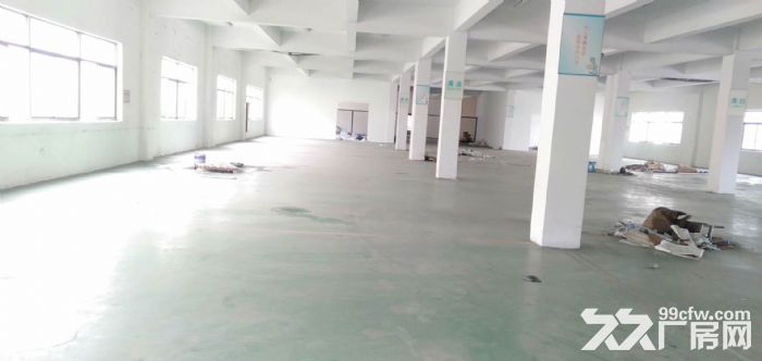 园区苏虹中路单层2400平标准厂房 环境好 价格便宜 - 2