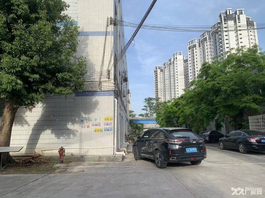 博罗县罗阳镇标准厂房300平