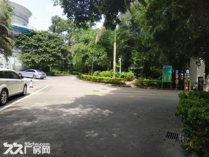 (精推小独栋)科技园 稀有1500平可冠名 空地大停车位充足 - 3