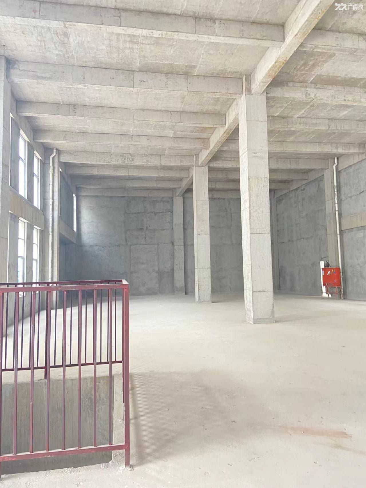 出租售 面积灵活 1000㎡起 独立产权 标准厂房 - 2