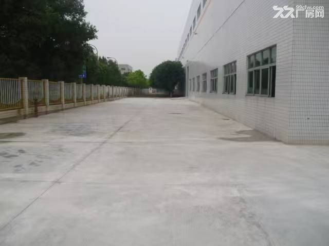 单层独栋高标准厂房招租 - 5