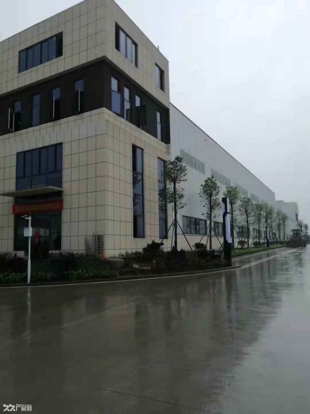 珞璜高速路口单层带院厂房出租 - 6