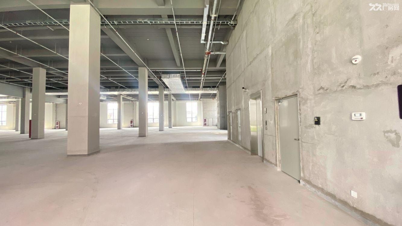曹路镇 东部湾现代产业园 研发厂房 新材料半导体 - 4