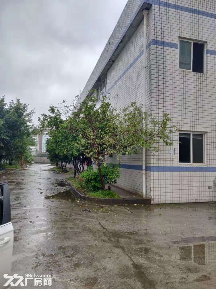 珞璜工业园 标准厂房 2500平米 出租 可安行车