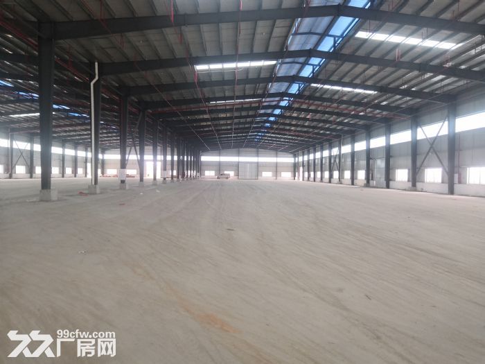 开平苍城工业区可做污染行业厂房10000平方可分租 - 5