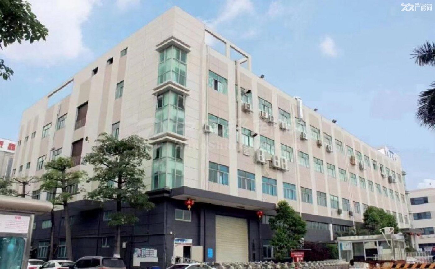 深圳山西丽主干道边原房东红本厂房独门独院一万平出租 - 6