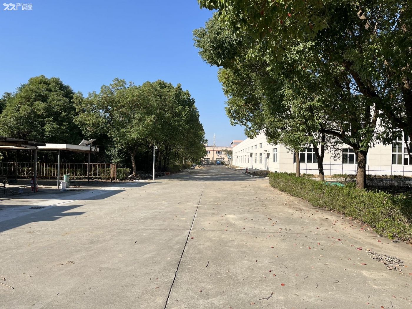 友谊联华路独门独院3600平方厂房出租 - 5
