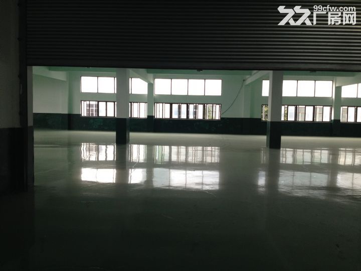 徐浦大桥附近10000平米标准仓库出租可分割 - 4
