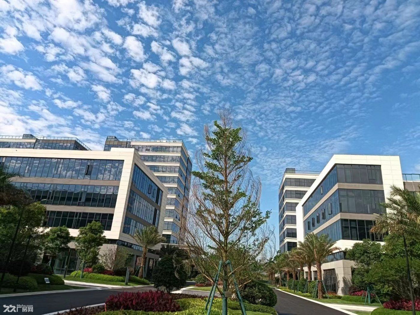 福州长乐滨海新区厂房招商(可更改建筑使用功能，教育，培训，医院，总部办公) - 5