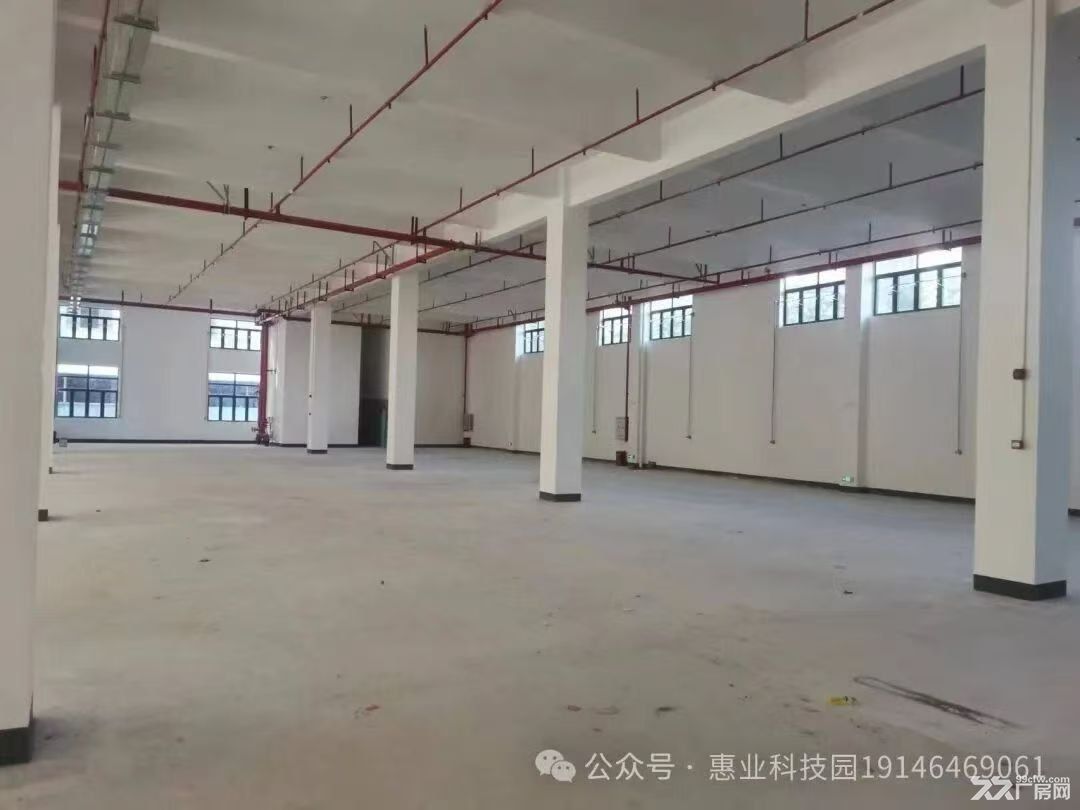 东江高新区一手房东低价厂房招商招租 - 3