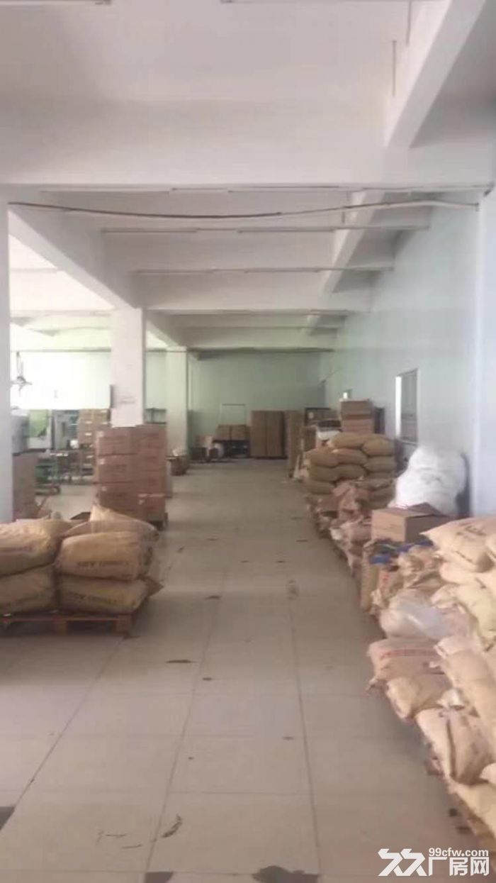 巷北工业区巷北路二楼520平方和760平方出租12.5元全包 - 3