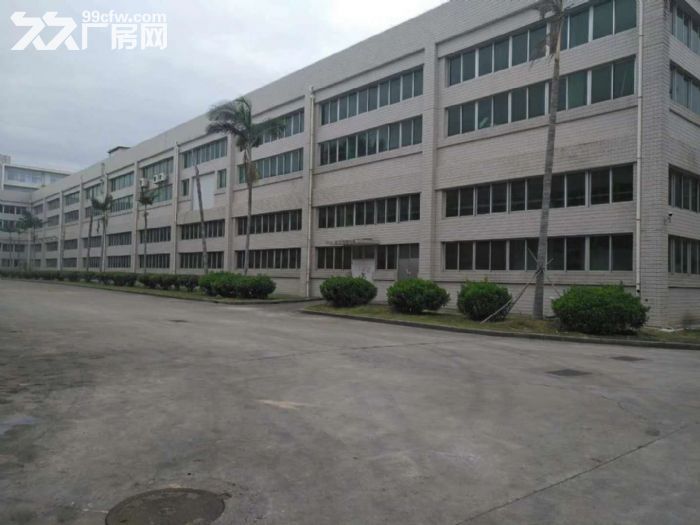 同安轻工食品园美禾三路1楼5000 ,4跟5楼精装修办公楼出租