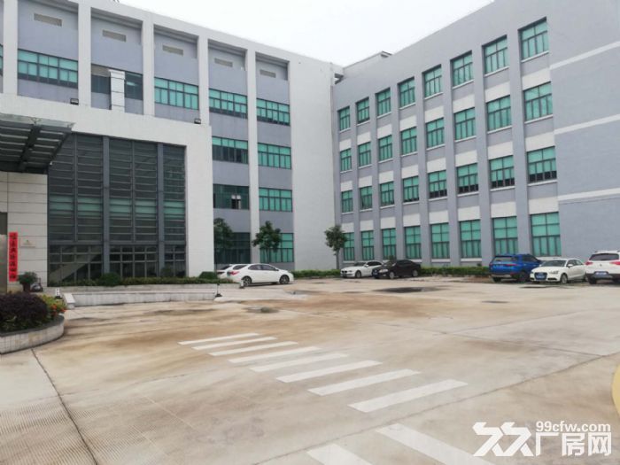 江门蓬江荷塘现装修贸易办公型厂房仓库1000至5000出租 - 3