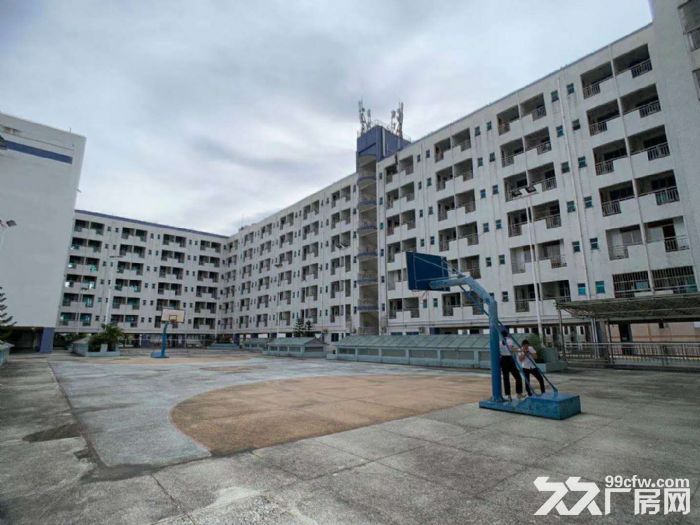 南山西丽南岗 阳光工业区3500平办公厂房直租无行业限制 - 2
