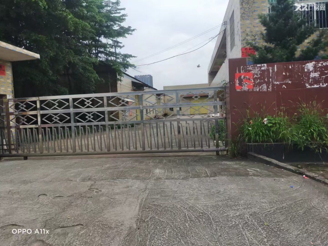 南海大沥经典独门独院厂房出租 - 2