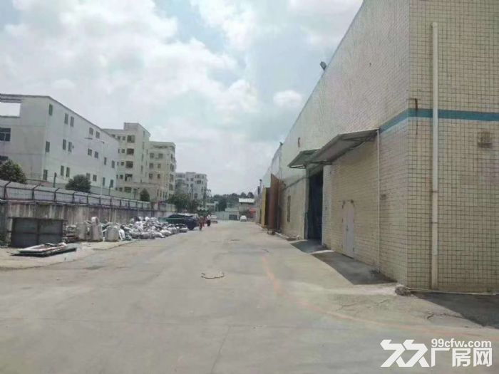 带红本 观澜牛湖单一层独院钢构厂房出租1万平 也可做物流仓库 - 3