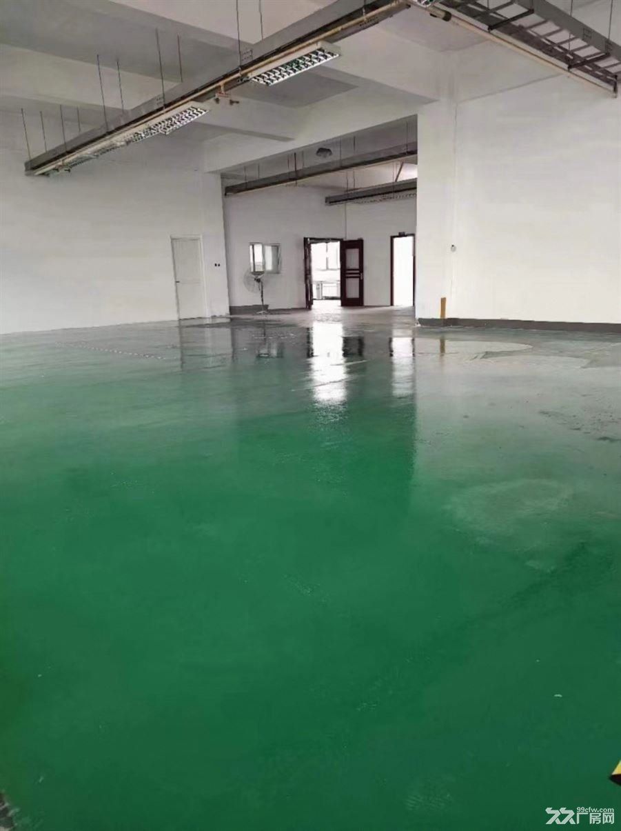 南汇工业园区花园式厂房 单层1100平 104板块可办环评 - 8