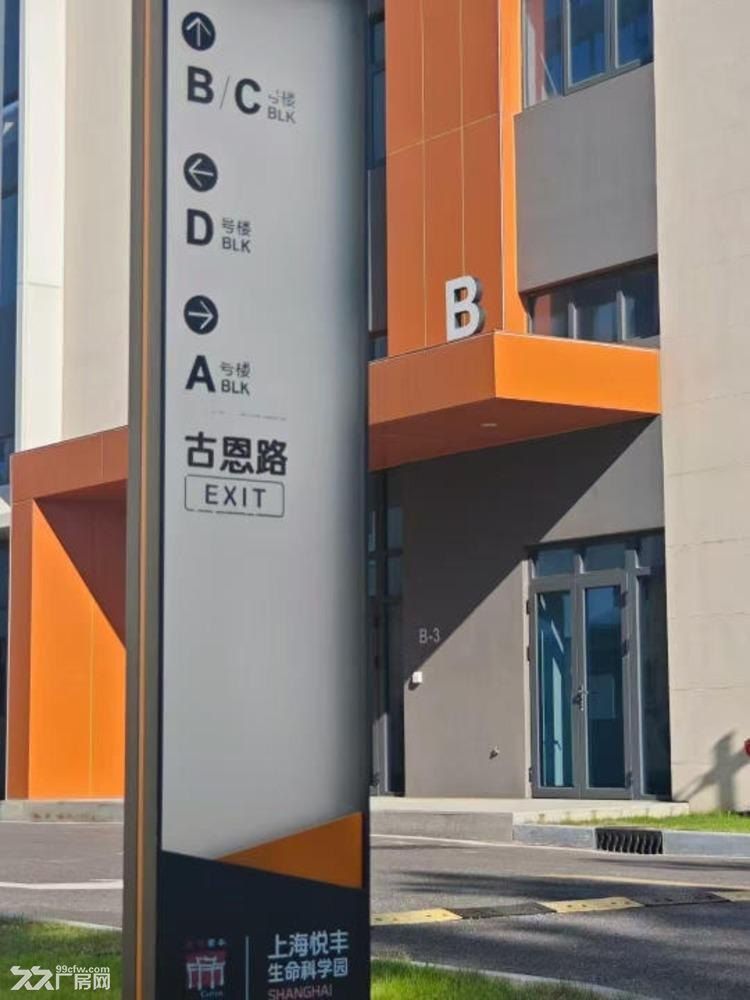悦丰科学园，大张江科学城内的高品质研发＋生产园区 - 4