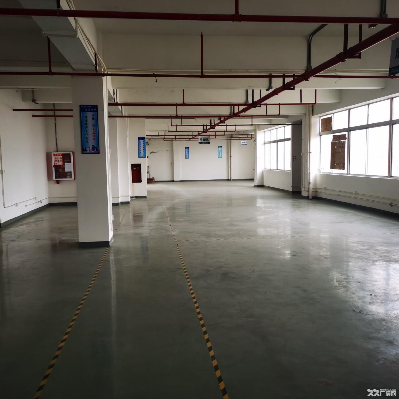深圳松岗研发生产红本厂房930平出售 - 3