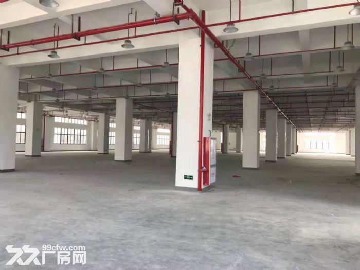 灌口工业区全新框架25000平方,单层5000平出租