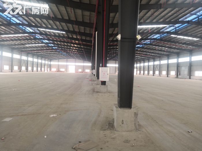 开平苍城工业区可做污染行业厂房10000平方可分租 - 6