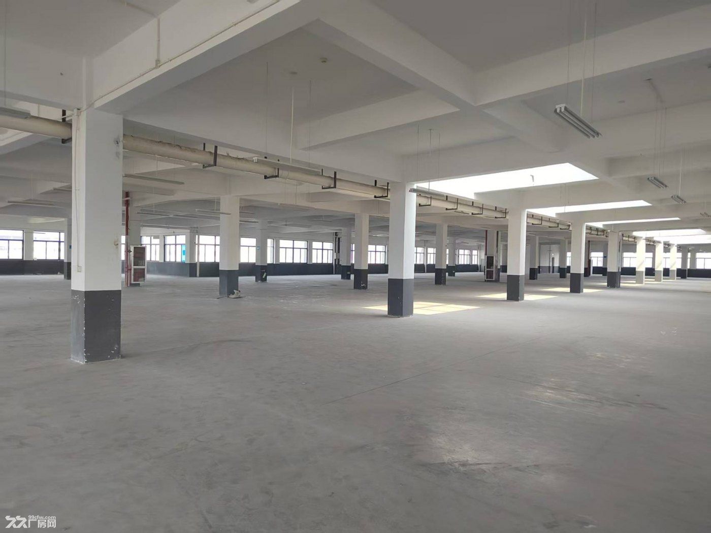 独栋新园区招商一万方，电商组装办公仓储展厅轻加工等 - 4
