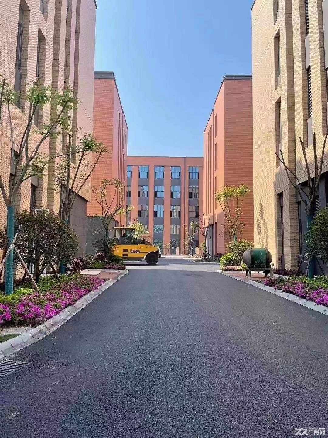 开发商直售 无中介费 可定制厂房 有返税政策 - 2