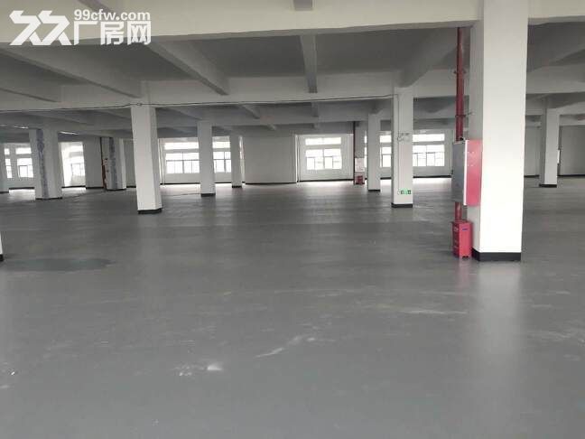 黄埔永和经济开发区3000方标准厂房，形象好，场地宽，可分租 - 2