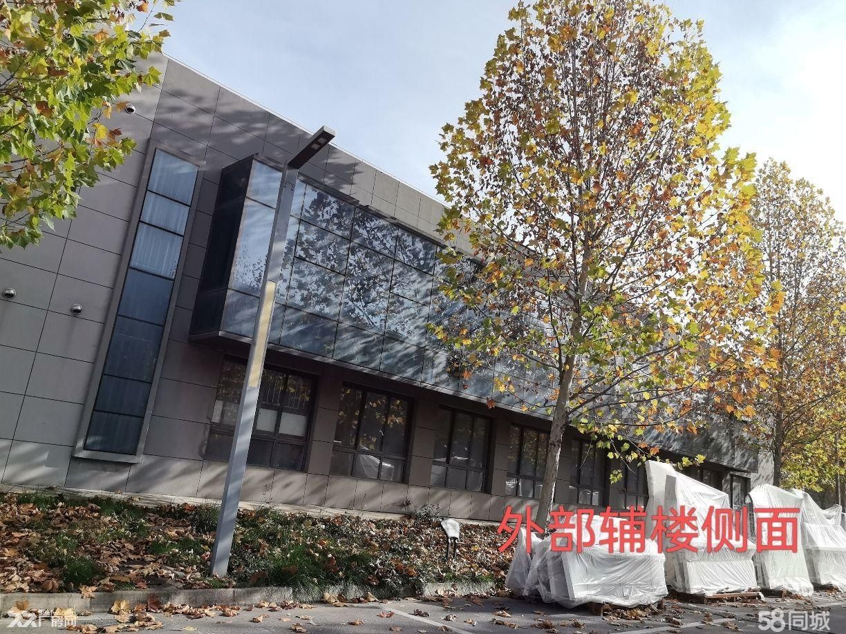 厂房出租蔡家坡百万平方米标准化厂房C期，面积：4029.43㎡。单层钢结构厂房 - 4
