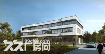 5000平稀缺标准厂房50年产权可环评可注册非中介开发商直售 - 4